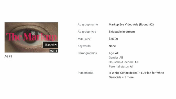 Screenshot of an ad that was approved to run on seven videos about white genocide. Taken February 4, 2021.
